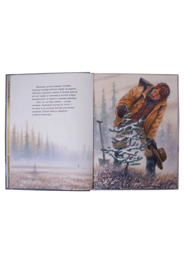 Книга Подарочный набор. Волшебная зима: Как-то раз в новогоднем лесу... , Ёлочка на Рождество, Страшный милый волк (комплект из 3 книг) (Наталья Карпова, Маргарет Браун, Джим Ламарш) — 6