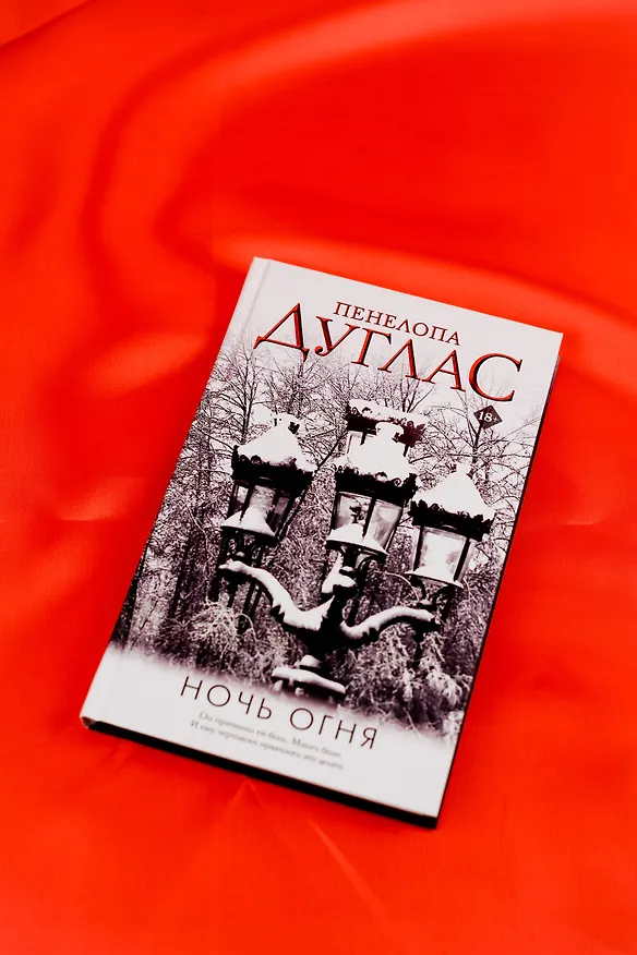Книга Ночь Огня (Пенелопа Дуглас) — 12