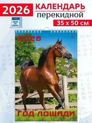 Календарь 2026г 350*500 «Год лошади» настенный, на спирали 3108680