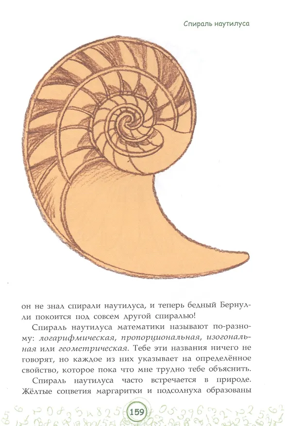 Книга Великолепная десятка. Приключения в мире математики (Анна Черазоли) — 6