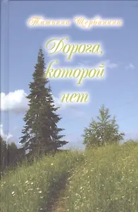 Дорога, которой нет