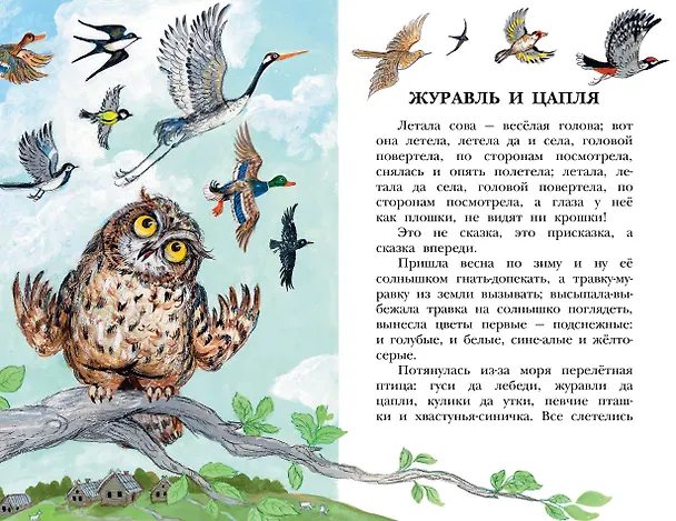 Книга Русские сказки (Владимир Даль) — 10