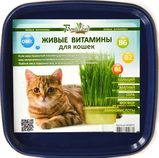 Живые витамины для кошек "Овес" в пластиковом лотке (410671) (19х17,4) 2371571 — 1