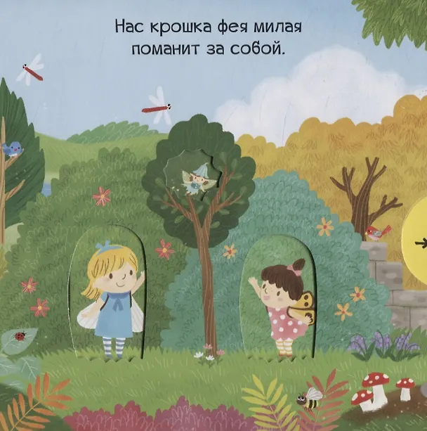 Книга Волшебные феи () — 3