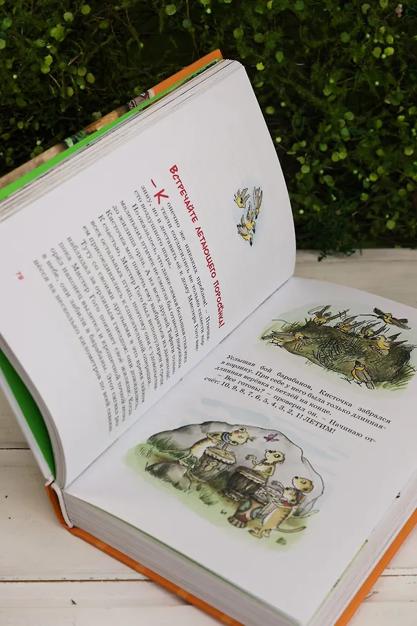 Книга Все приключения Тафити (Юлия Бёме) — 13