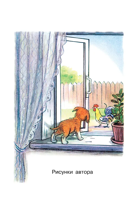 Книга Кто сказал "мяу"? Сказки (Владимир Сутеев) — 6