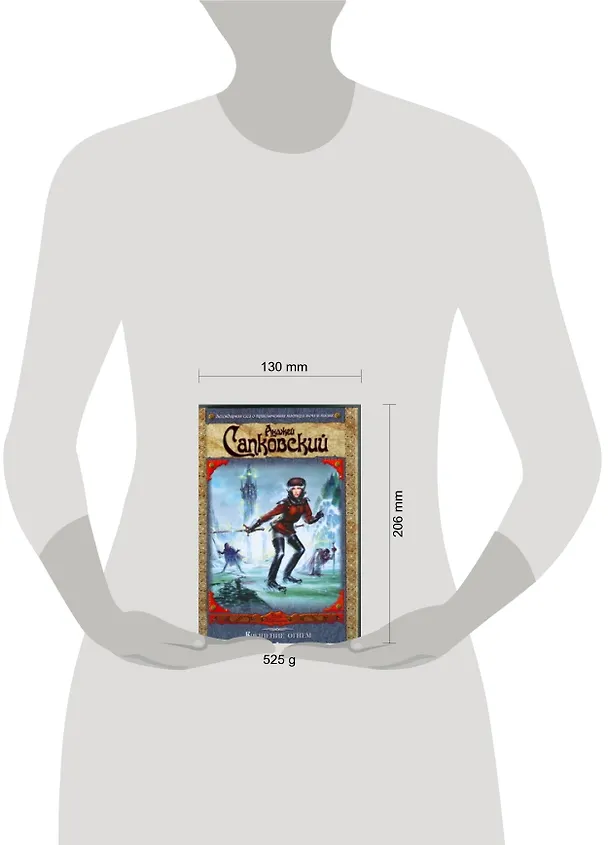 Книга Крещение огнем, Башня Ласточки (Анджей Сапковский) — 2