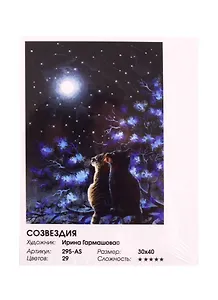 Набор для творчества ТМ Белоснежка Живопись на холсте Созвездия 30*40см 295-AS