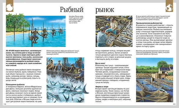 Книга Мир моря (Эмили Бомон, Валери Ле Дю) — 8