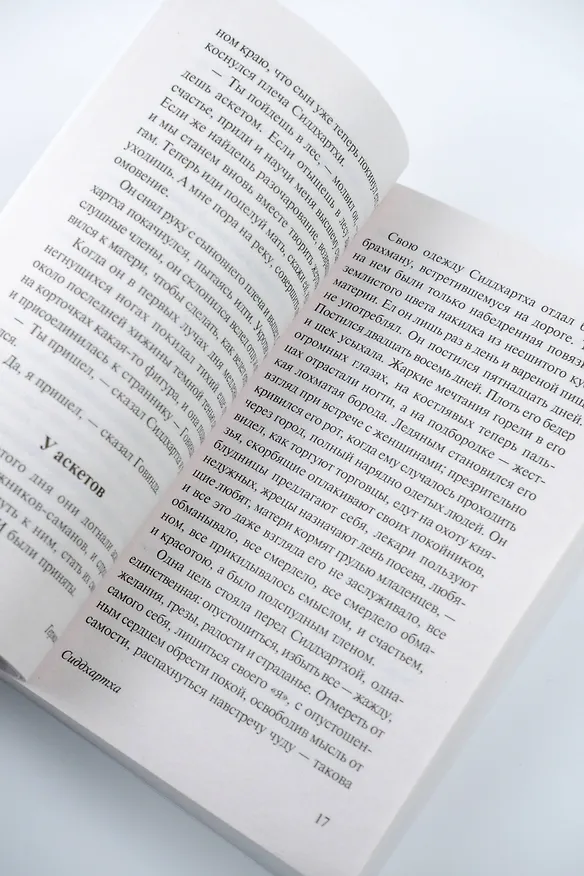 Книга Сиддхартха (Герман Гессе) — 9