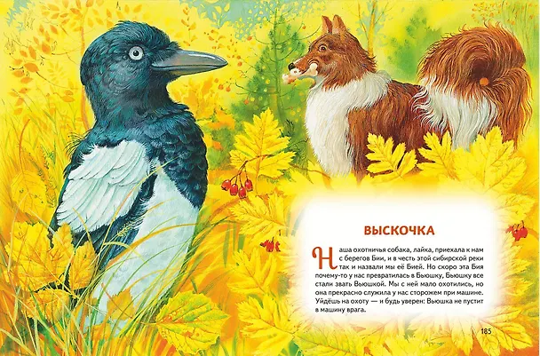 Книга Усы, перья и хвосты. Рассказы русских писателей о животных (ил. М. Белоусовой) (Александр Куприн, Дмитрий Мамин-Сибиряк, Антон Чехов) — 12