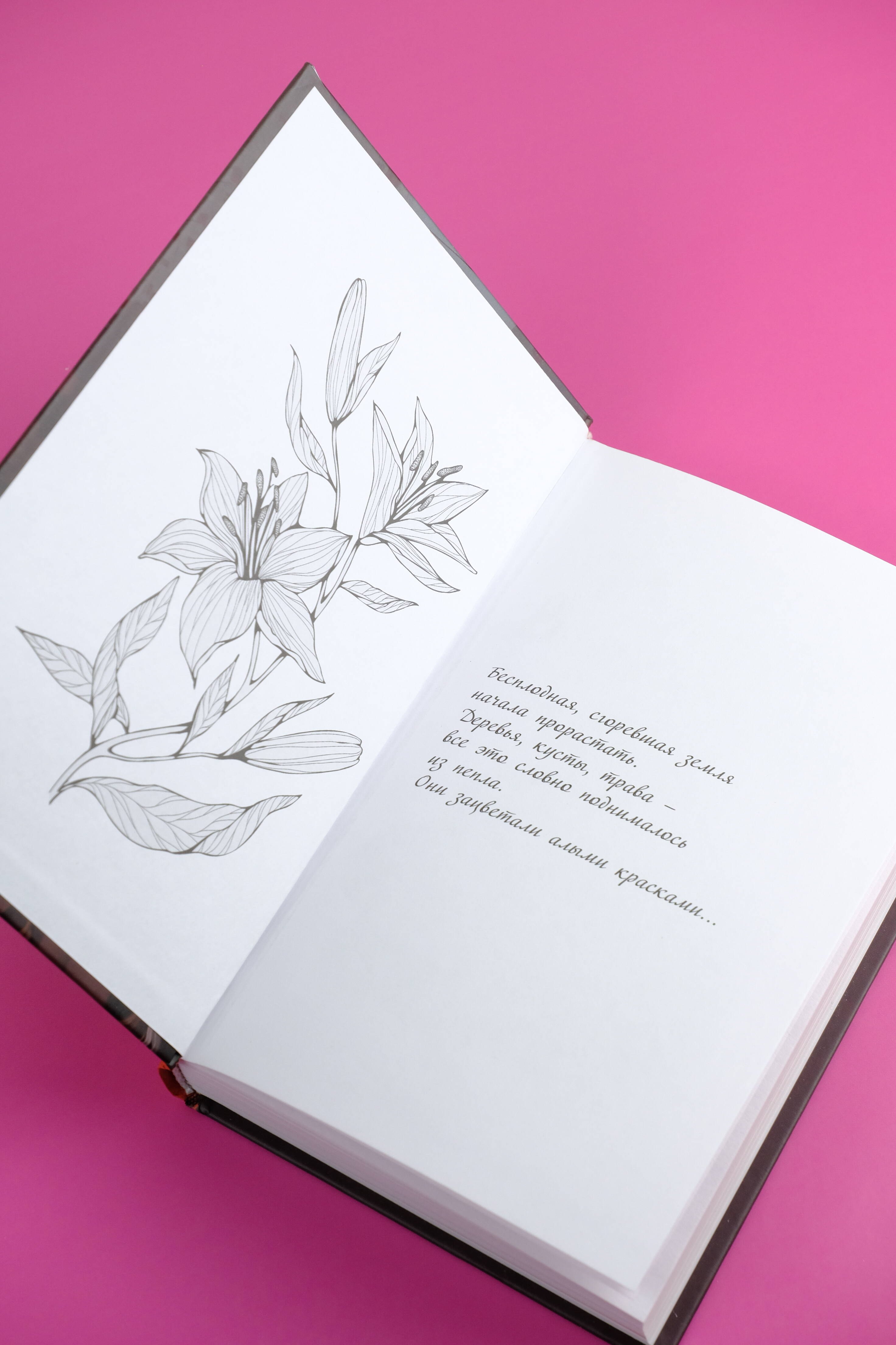 Изображение бумажной книги