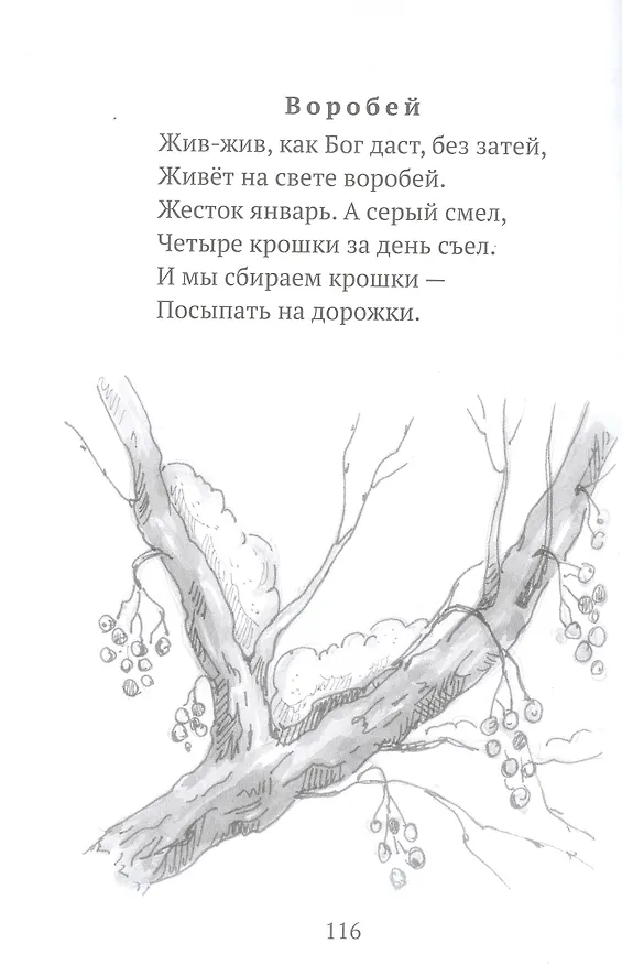 Книга Тимошины чудеса: Зима! (Владислав Бахревский) — 7