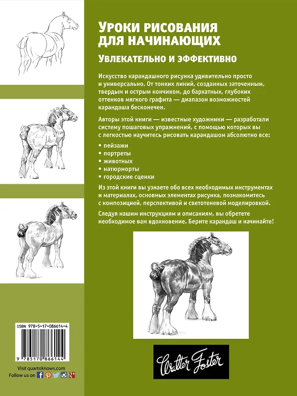 Книга Уроки рисования для начинающих. Увлекательно и эффективно (Диана Кардаччи) — 2