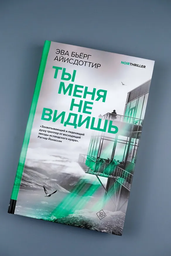 Книга Ты меня не видишь (Эва Бьёрг Айисдоттир) — 7
