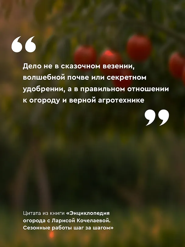 Книга Энциклопедия огорода с Ларисой Кочелаевой. Сезонные работы шаг за шагом (Лариса Кочелаева) — 8