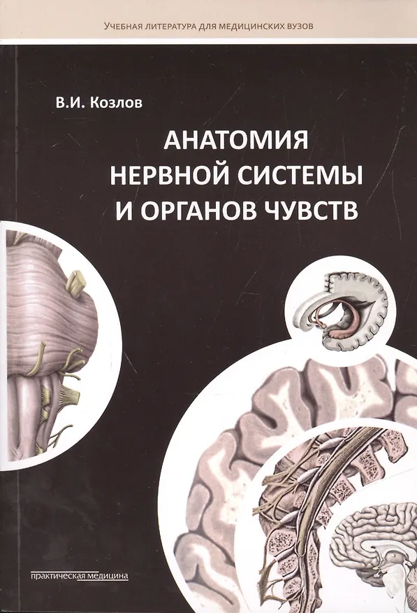 Книга Анатомия нервной системы и органов чувств: Учебное пособие. (Валентин Козлов) — 1
