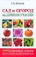 Сад и огород на дачном участке. 500 подробных ответов на самые важные вопросы — 2190816 — 1