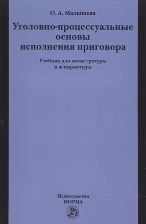 Уголовно-процессуальные основы исполнения приговора — 2582793 — 1