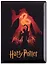 Обложка на паспорт Гарри Поттер — 2910782 — 1