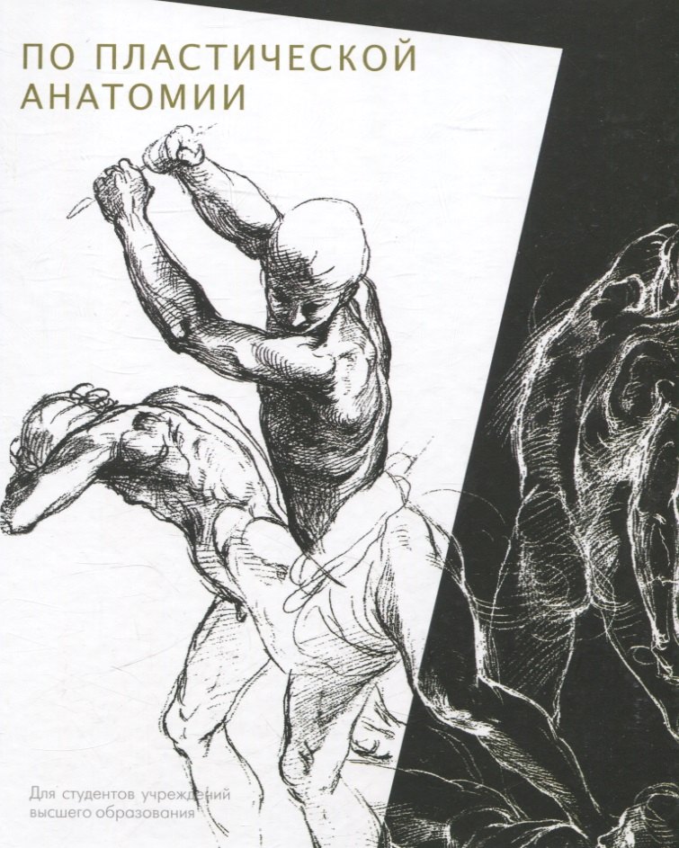 

Практикум по пластической анатомии