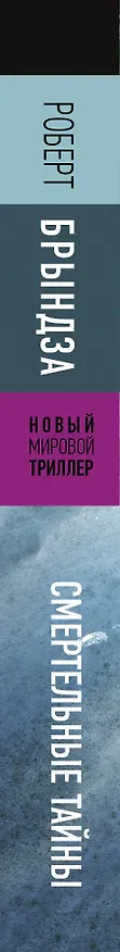 Книга Смертельные тайны (Роберт Брындза) — 3