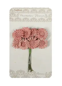 Маргаритки шебби-розовые (SCB281404) (1 букетик) (в букете 8шт.) (упаковка)