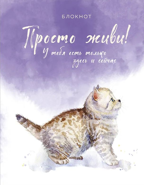 Соберись и не ной. Блокнот для сохранения себя в непростые времена 2965878 — 1