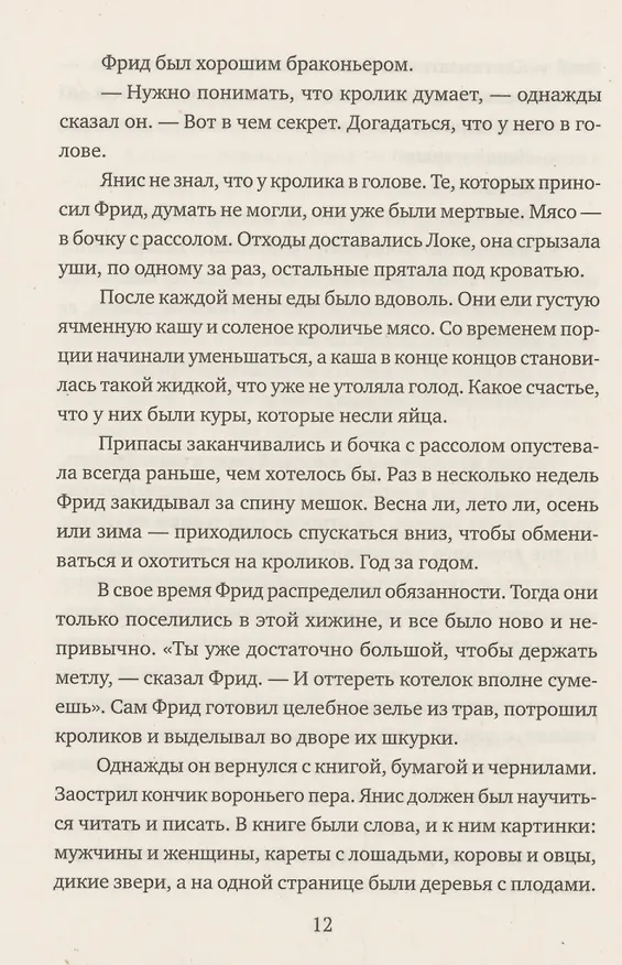 Книга Ложечник (Марьолейн Хоф) — 6