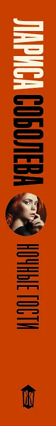 Книга Ночные гости (Лариса Соболева) — 3