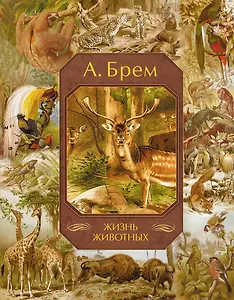 Жизнь животных