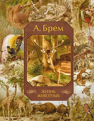 Книга Жизнь животных (Альфред Эдмунд Брем, Альфред Эдмунд Брэм)