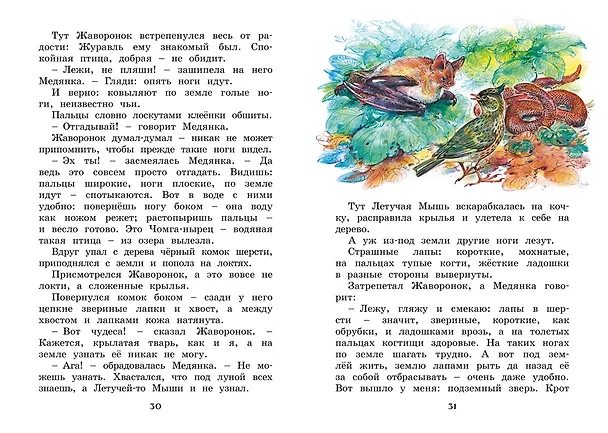 Книга Где раки зимуют. Сказки и рассказы (Виталий Бианки) — 13