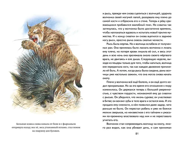 Книга Белый Клык (ил. В. Канивца) (Джек Лондон) — 13