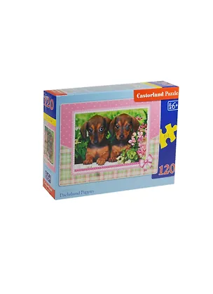 Пазл Castorland MIDI Щенки таксы 120эл. В-13142 2472178