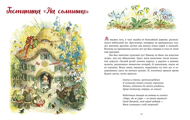 Книга В гостях у гномов и другие истории (Эрих Хайнеманн) — 5