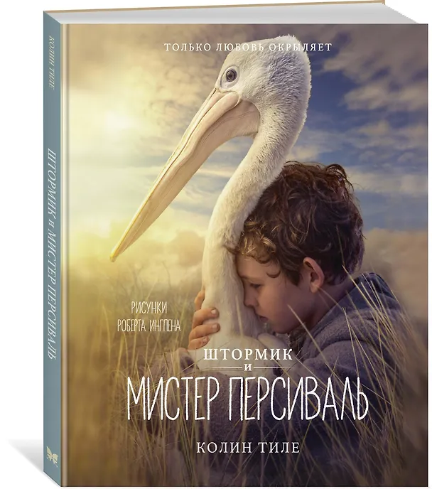 Книга Штормик и мистер Персиваль (Колин Тиле) — 3