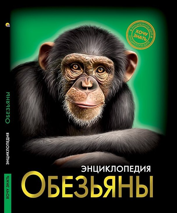 Книга ЭНЦИКЛОПЕДИЯ. ХОЧУ ЗНАТЬ. ОБЕЗЬЯНЫ (С. Соколова) — 1