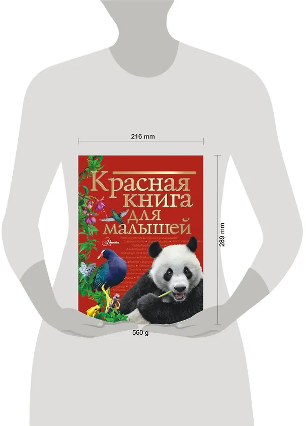Книга Красная книга для малышей (Владимир Бабенко) — 8
