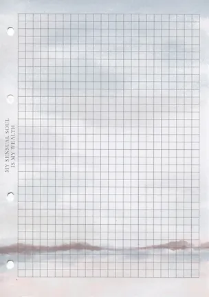 Сменный блок для тетрадей 50л кл. "View" 70г/м2, инд.уп. 2971054