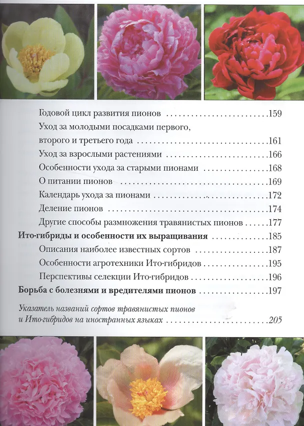 Книга Пионы () — 3