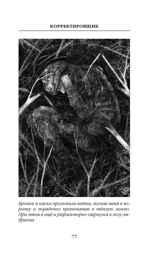 Книга Корректировщик (Александр Туманов) — 15