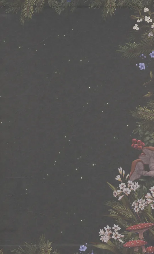 Книга Йага. Колдовская невеста (Даха Тараторина) — 13