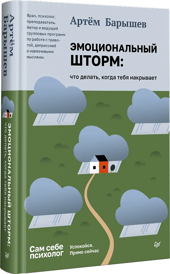 Книга Эмоциональный шторм: что делать, когда тебя накрывает. Успокойся. Прямо сейчас (Артем Барышев) — 2