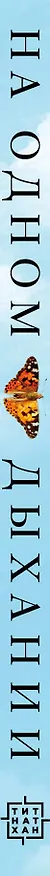 Книга На одном дыхании. Самоучитель по медитации (Тит Нат Хан) — 3