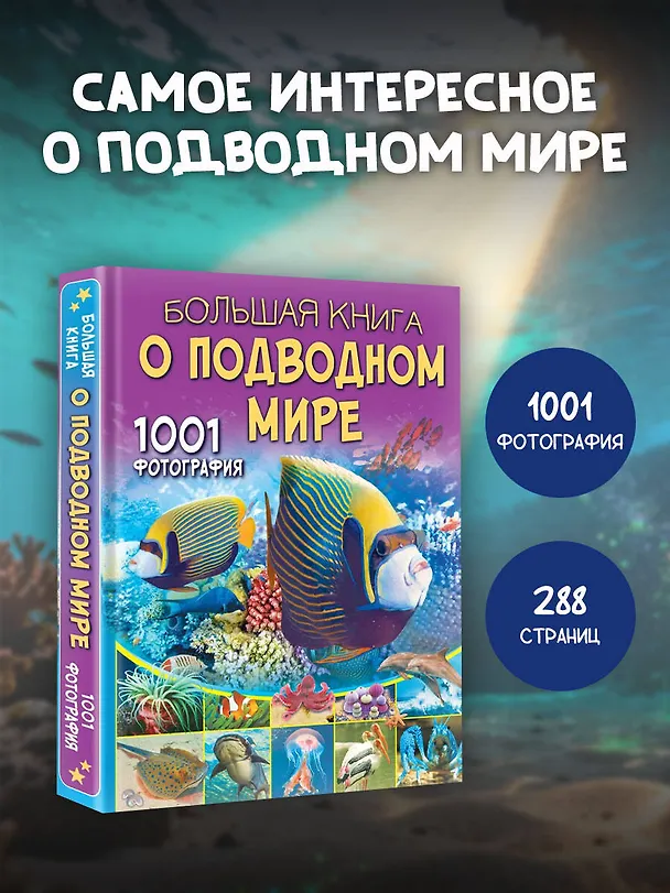 Книга Большая книга о подводном мире. 1001 фотография (Вячеслав Ликсо) — 5