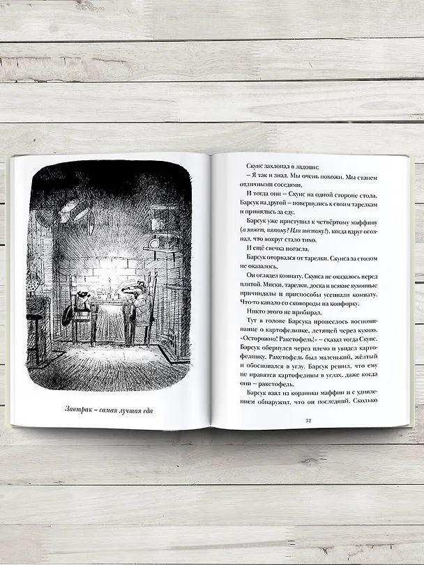 Книга Скунс и Барсук (Эми Тимберлейк) — 5