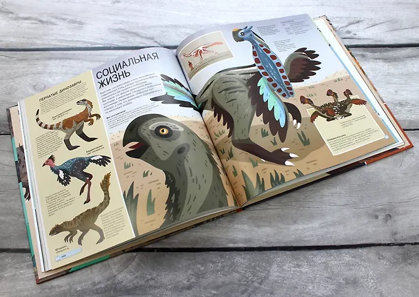 Книга Все динозавры. Моя первая энциклопедия (Дора Мартин) — 9