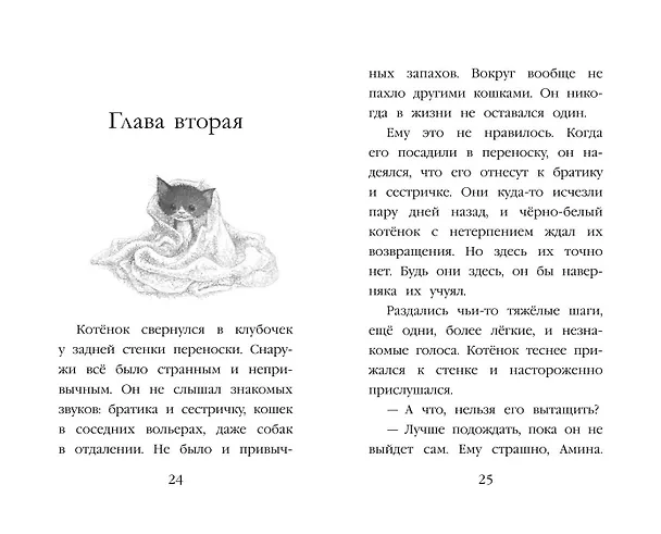 Книга Котенок Пикси, или Самый маленький друг (выпуск 58) (Холли Вебб) — 15
