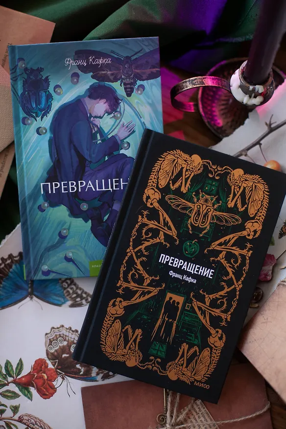 Книга Превращение. Вечные истории (Франц Кафка) — 14